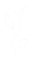/images/logos/symbole_blanc_feuilles.webp